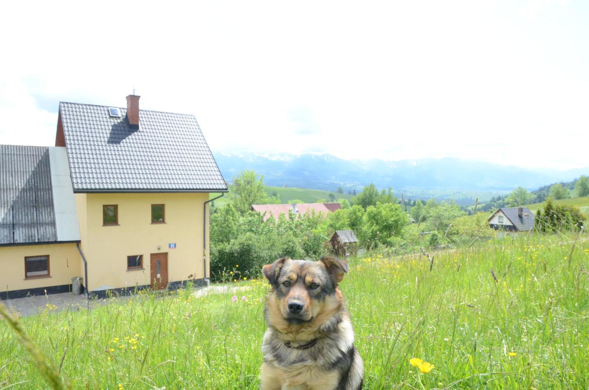 Hotel Wynajem Pokoi Zofia Gal Gliczarow Gorny Esterno foto